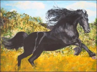 Ne me dites que vous ne connaissez pas la réponse ! Comment s'appelle le cheval de Zorro ?