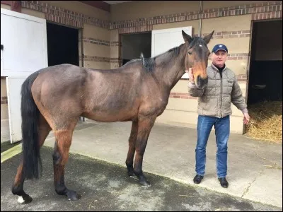 Al Capone II était un cheval de courses d'obstacles. 
Combien mesurait-il au garrot ?