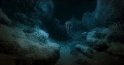 La fosse des Mariannes est actuellement la plus grande fosse océanique au monde.