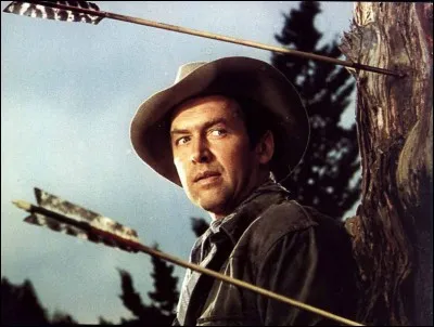 Quel réalisateur a tourné le western humaniste "La flèche brisée" (1950) avec James Stewart ?