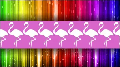 Combien de colorations s'est-elle faites ?