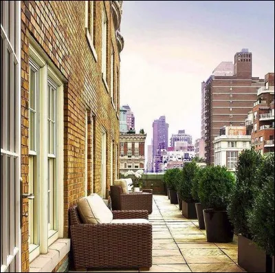 Mark Hotel (NY) > Pour ne pas réparer les dégâts qu'il y avait causé (près de 10 000 $ en 1994), une star inventa une histoire un tout petit peu rocambolesque. Laquelle et qui était-ce ?