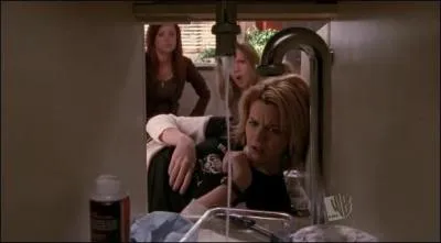 Que cherche Peyton ?