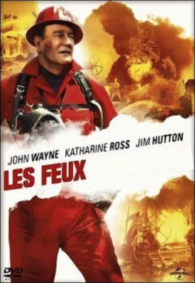 Quel est ce film ?