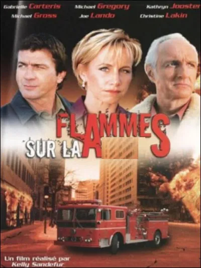 Quel est ce film ?