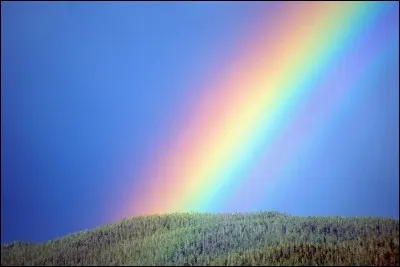 Quelles sont tes couleurs préférées parmi celles-ci ?