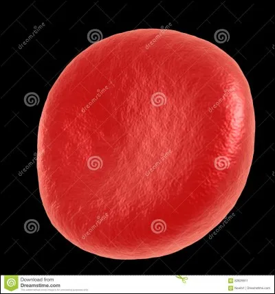 Le minerai de fer porte quel nom ?