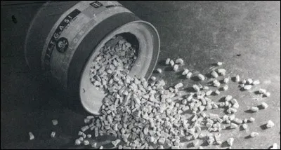 Quel "poison" fut utilisé par les nazis pour exterminer des milliers de personnes durant la Seconde Guerre mondiale ?