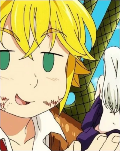 De qui Meliodas est-il amoureux ?