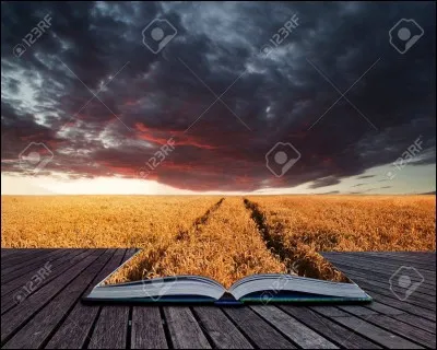 Le roman "Les Buddenbrook" est sign&eacute;...