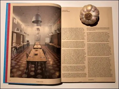 Qui a &eacute;crit "Limonov" ?