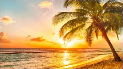 Tu veux partir en voyage...