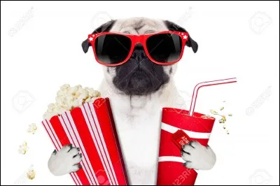 Ton film pr&eacute;f&eacute;r&eacute; est...