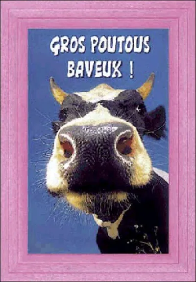 Allez, sans rancune ? on se quitte en se faisant un petit... (une réponse)