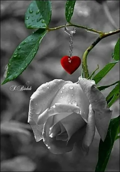 Quels acteurs incarnaient "Les Mariés de l'an II" ?