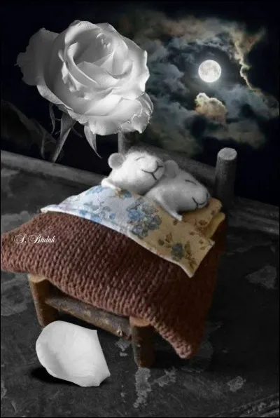 Quelle est la proposition intruse parmi ces couples de souris ?