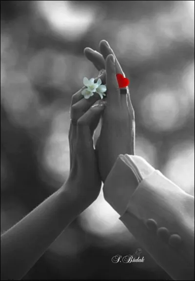 L'amour en littérature ! Qui sont les amoureux de Vérone ?