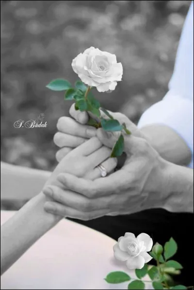 Dans le film "Mourir d'aimer", relatant les amours dramatiques de Danielle, professeure, et de son élève Gérard, quelle grande actrice incarne "Danièle" ?