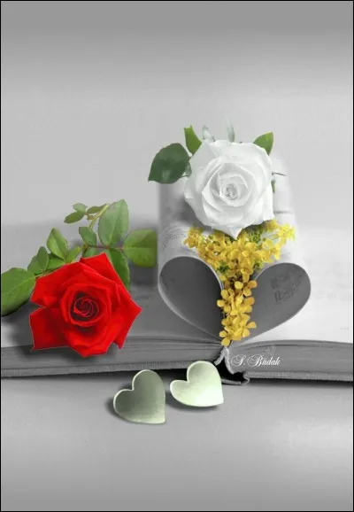 Qui fut le grand amour de Jane Eyre ?