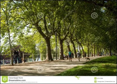 Courrier échangé avec sa souris, c'est le...