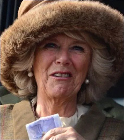 Chiffons (2) > Il est une matière dont les vêtements de toute la famille royale ne peuvent être confectionnés. Laquelle ?