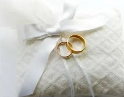 Comment s'appellent les bagues &eacute;chang&eacute;es par les mari&eacute;s symbolisant leur union ?