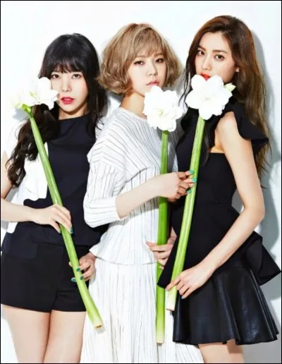 Qui es-tu dans ton groupe d'amis ?