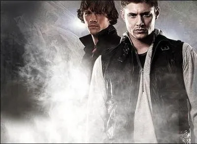 Quel est l'objet que leur a laiss leur pre et dont ils se servent pour mener  bien leurs missions ?