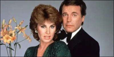 Dans la série "Pour l'amour du risque", comment s'appellent les deux époux qui mènent leurs enquêtes ?