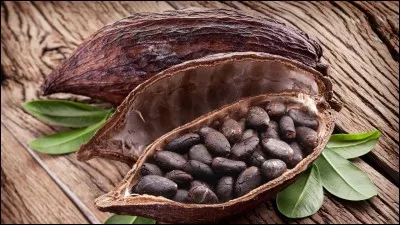 Que voyez-vous sur l'image ?
Le cheval voyageur le sait, lui !