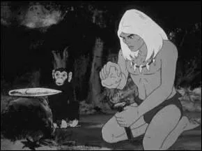 (Rahan) De quelle couleur sont les cheveux de Rahan ?