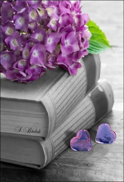 C'est dans "Le Rouge et le Noir" que nous partagerons l'histoire passionnée de Julien Sorel et...