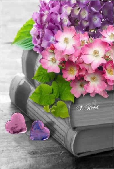 Dans quel livre de Boris Vian, Colin et Chloé s'aimeront-ils jusqu'à la mort ?