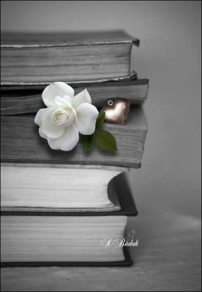 Dans "Les Hauts de Hurlevent", l'amour de quel couple est-il mis en scène ?