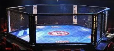 Cherche moi et ça finira en octogone !