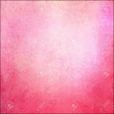 Quelle est la ville qui a le surnom "la ville rose" ?