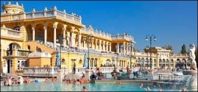 Lequel de ces pays a pour devise "Forint" ?