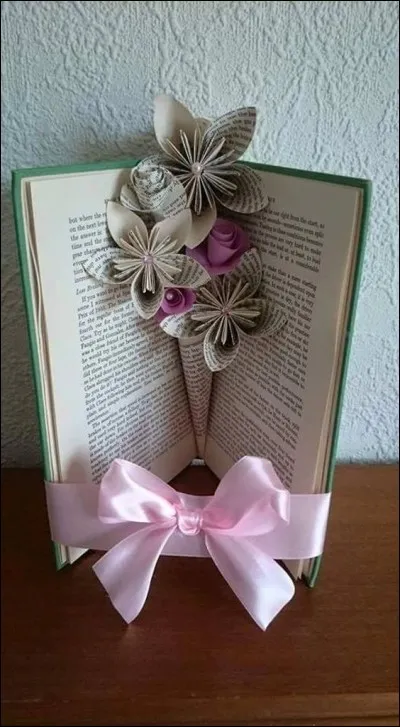 On cherche un livre de Pierre Loti :