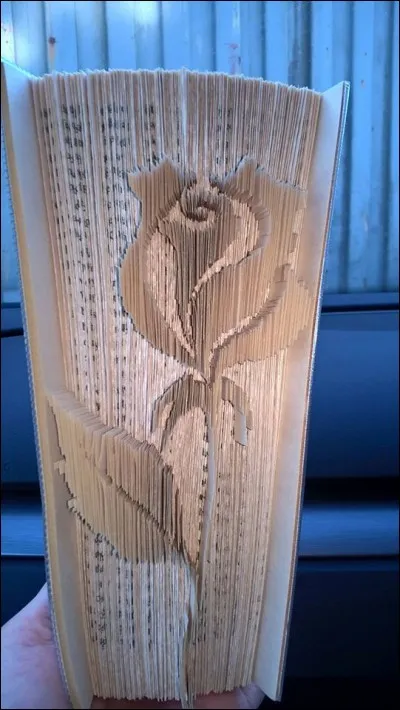 Et celui de Karin Hann :