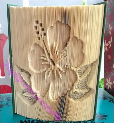 C'est le livre de Betty Smith :