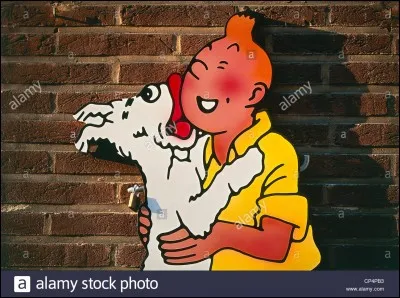 500  : Comment s'appelle le chien de Tintin ?