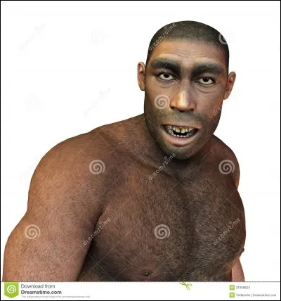 À quel animal ressemblait l'homme, lors de la Préhistoire ?