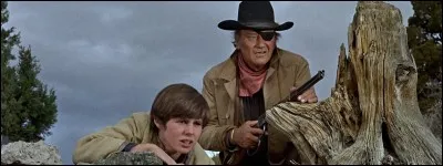 100 Dollars pour ...