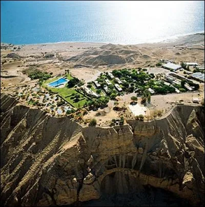 C'est un site d'exception sur la rive occidentale de la Mer Morte, aux confins du désert de Judée : il est mentionné dans la Bible. On y trouve plusieurs cascades d'eau fraîche.
Quelle est cette réserve naturelle, aujourd'hui Parc National, ce lieu qui a vu s'affronter Saül et le roi David ?