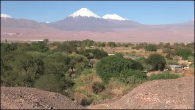 Ce village est considéré comme une capitale archéologique. Ceux qui ont donné son nom à l'oasis avaient onze mille ans d'histoire et étaient le peuple pré-colombien le plus développé du pays : ils ont été ses premiers agriculteurs et les premiers à s'être sédentarisés.
Quel est cet endroit entouré de merveilles naturelles comme les geysers du Tatio ou des lagunes surplombées de volcans ?