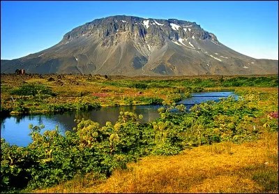 Remarquez le relief contrasté : l'oasis est donc une commune fortement enclavée. On la surnomme ''l'oasis des jardiniers'' : la population touareg y cultive des légumes, des céréales, des agrumes et des dattes. On y retrouve un écosystème typique d'une oasis de montagne.
Quel est ce lieu du Sahara qui a une offre touristique intéressante avec ses peintures rupestres et ses animaux rares ?
