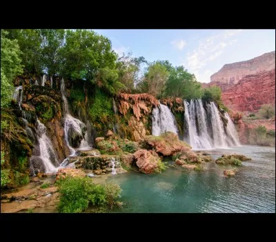 Ce lieu perdu, dans le désert de l'Arizona, aurait été habité il y a quelques 5000 années, d'après l'art rupestre qu'on y retrouve. Cette vallée est entourée par 5 chaînes de montagnes : c'est le milieu de vie d'une variété d'espèces végétales et animales.
Quelle est cette oasis qui appartenait jusqu'en 1870 aux amérindiens Cahuillas ?