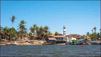 Le Nord du Brésil est soumis à un climat tropical : voyez cette incroyable vitalité grâce à plusieurs étangs au milieu des dunes de sables. Des étangs qui se remplissent grâce à l'eau de pluie et où se développent poissons et tortues : dès mai, on peut y trouver cette alternance exceptionnelle de dunes et de bassins d'eau.

Quel nom donne-t-on à ces lagunes interdunaires situées au Brésil ?