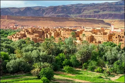 Depuis ''Mille et une Nuits'' cet endroit est le carrefour ethnique et culturel du Grand Sud Marocain. On trouve cette magnifique halte à cette oasis de palmeraies bordée par les montagnes arides de l'Atlas. Remarquez ces maisons en terre séchée dont il faut s'inspirer du modèle en les rénovant.
Quel est ce lieu le plus haut en altitude consacré à la culture du palmier dattier ?