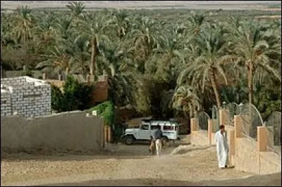 On y trouve les ruines d'un temple construit par Alexandre le Grand, au nord-est de l'oasis : ce conquérant est passé à cette oasis à son retour de l'oracle d'Ammon-Zeus à Siwa. C'est l'oasis la plus proche du Caire. Les fouilles ont mené à des découvertes remontant aux périodes égyptiennes, helléniques, romaines puis berbères.
Quelle est cette oasis qui est habitée depuis le paléolithique ?